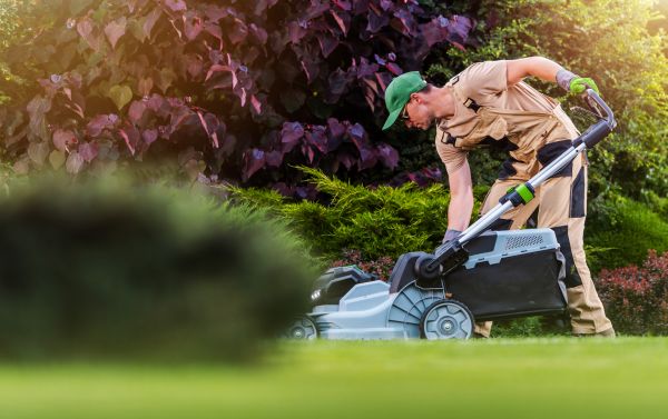 Lawn Care And Maintenance in Newnan
