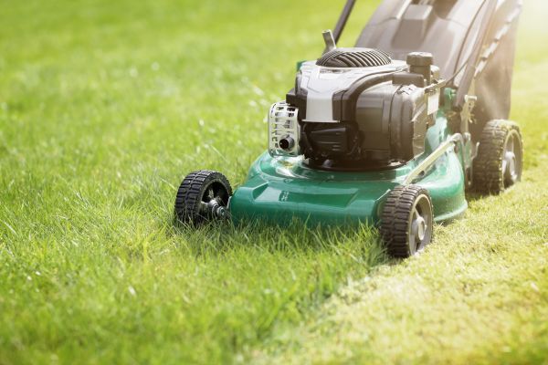 Yard Cutting in Newnan