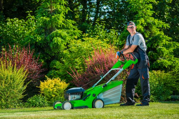 Yard Work Service in Newnan