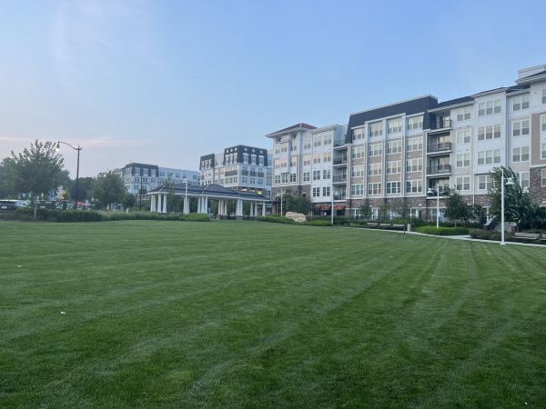 Urban Lawn Care in Newnan
