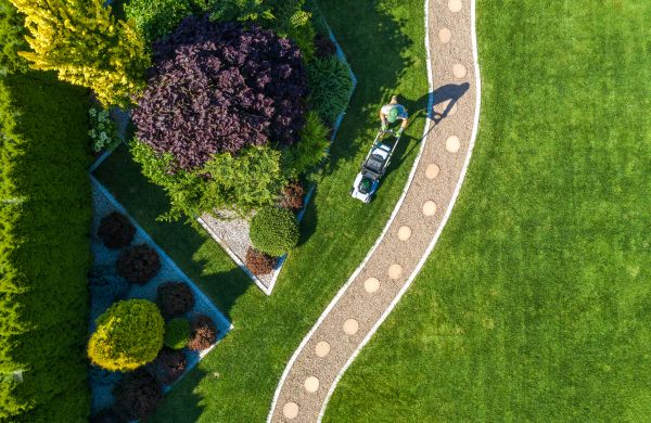Mowing And Landscaping in Newnan