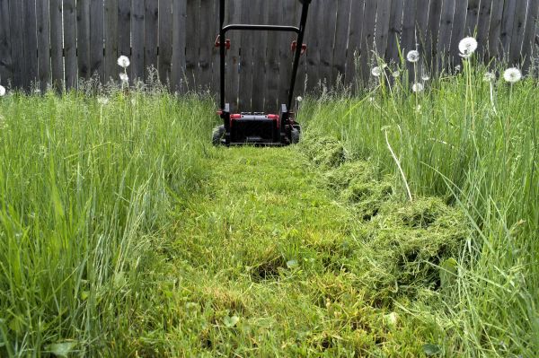 High Grass Mowing in Newnan