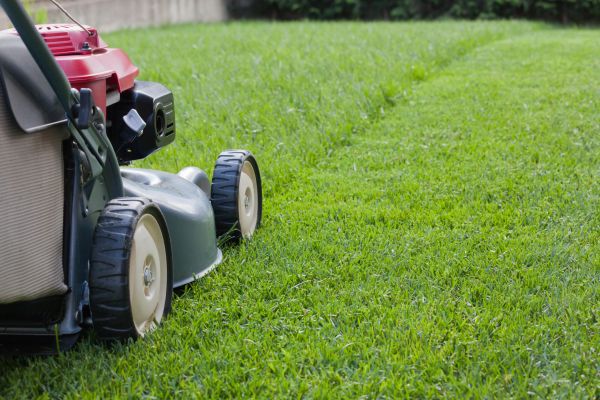 Summer Lawn Care in Newnan