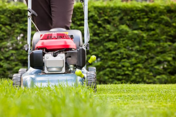 Grass Trimming Service in Newnan