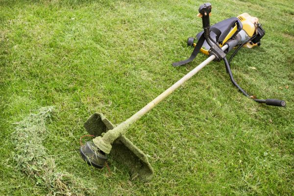 Hillside Weed Whacking in Newnan