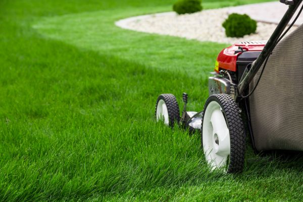 Weekly Mowing in Newnan