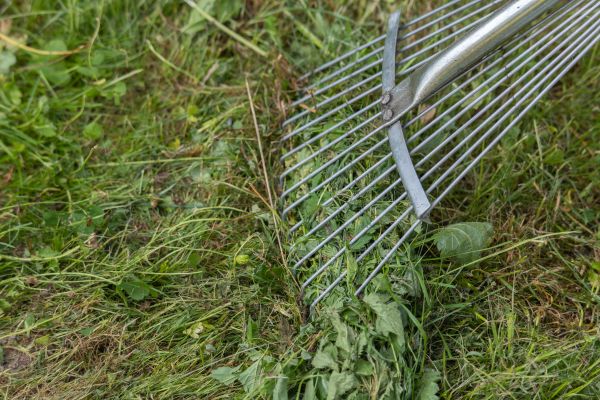 Thatch Raking in Newnan