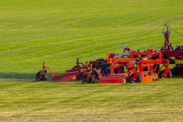 Industrial Lawn Service in Newnan