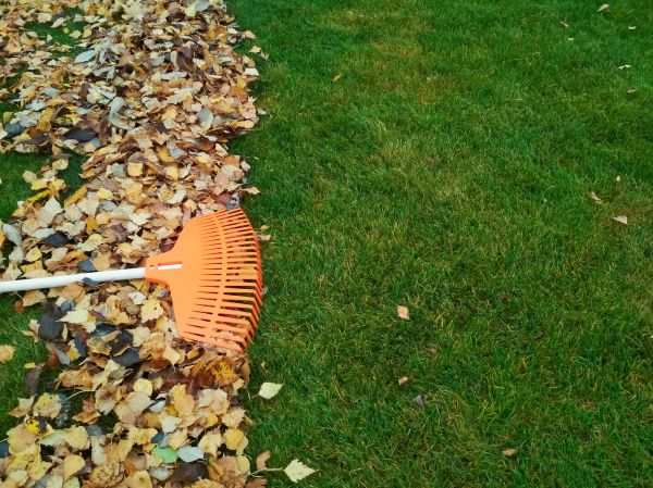 Fall Lawn Care in Newnan