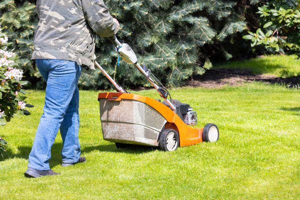 Springtime Lawn Care in Newnan