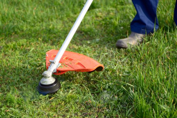 Lawn Weed Whacking in Newnan