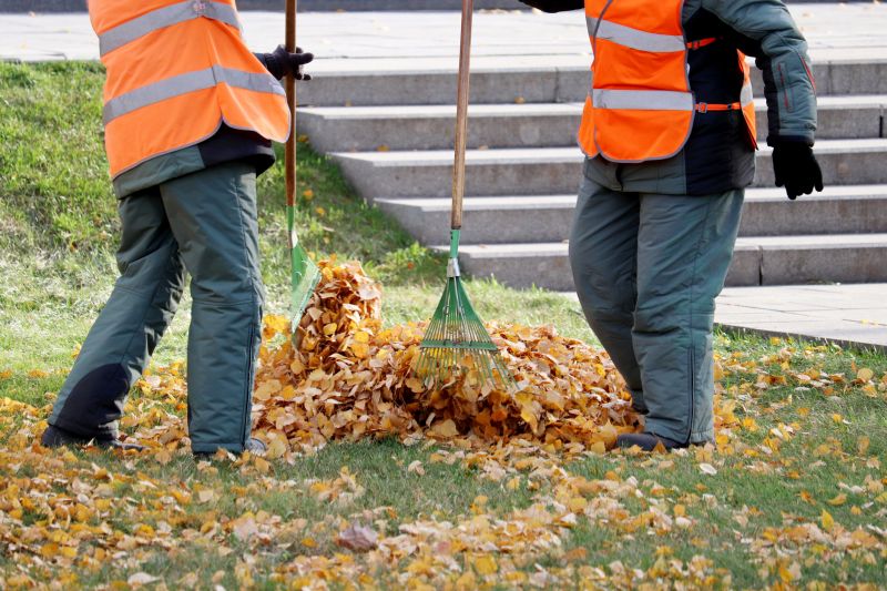 Fall Leaf Cleanup Crew