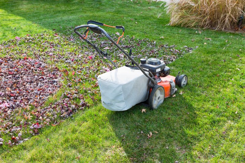 Autumn Lawn Care Tools