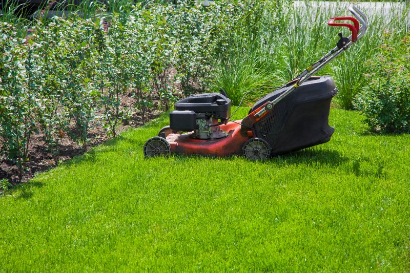 Healthy Green Lawn