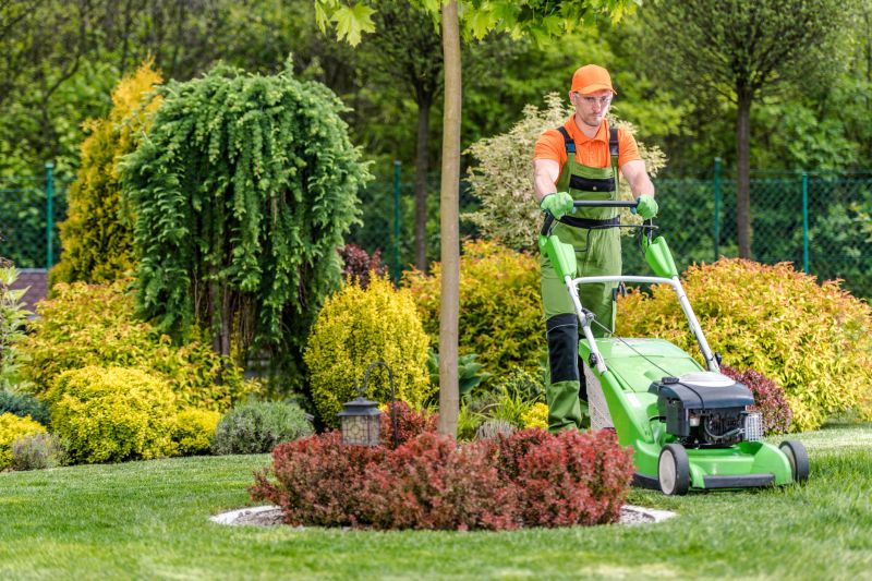 Routine Lawn Maintenance
